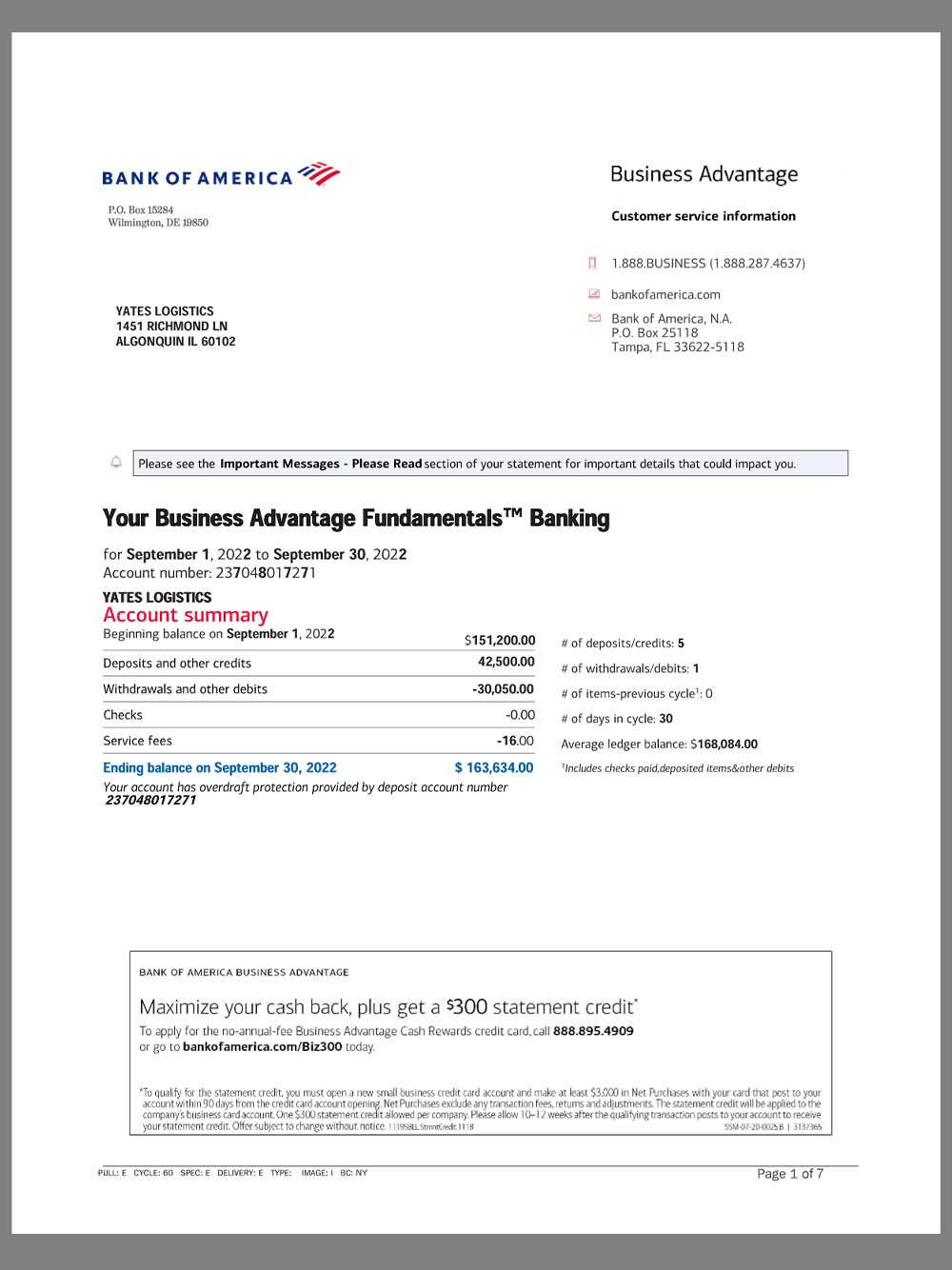 USA BOA Enterprise Account Bank Statement美国银行企业账单(V2)