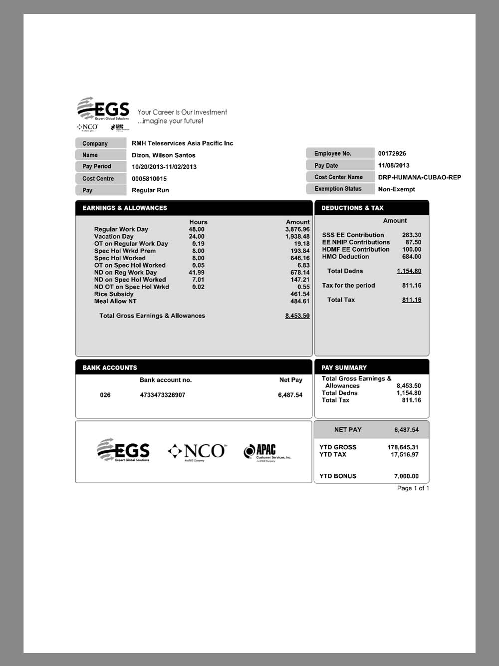 EGS Company Paystub template工程服务公司收入证明/工资账单PDF模板