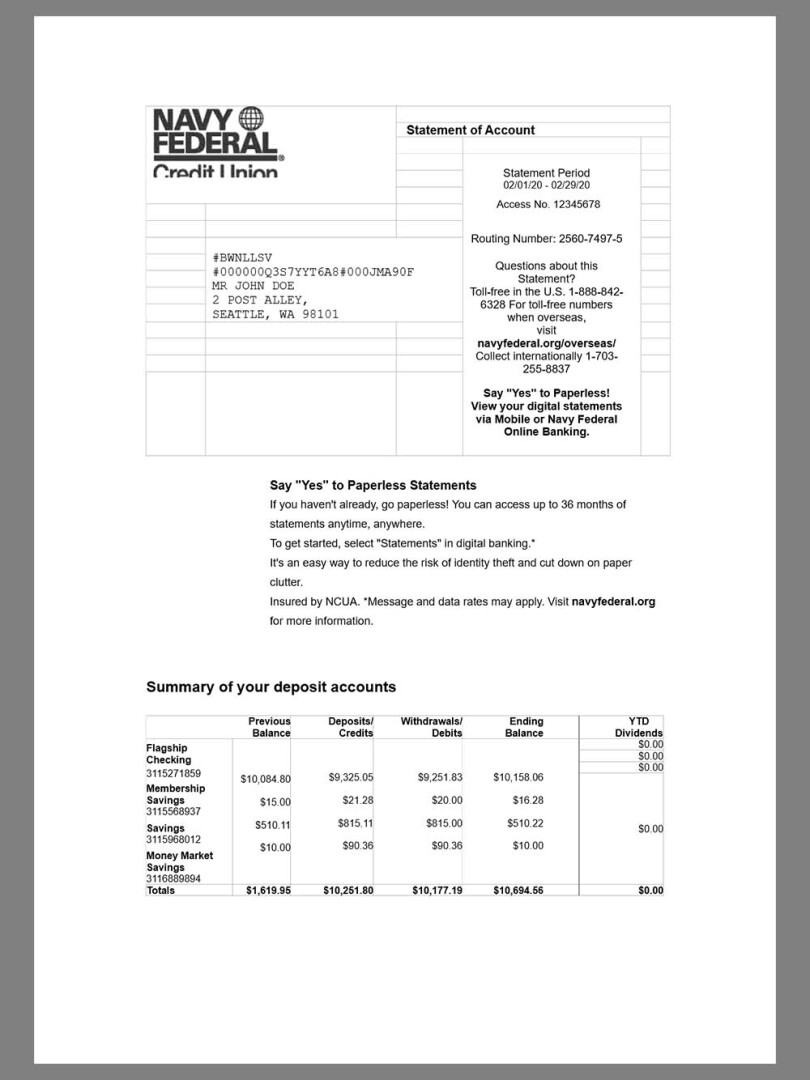 美国Navy Federal Bank Statement银行账单/KYC地址证明word模板 V1