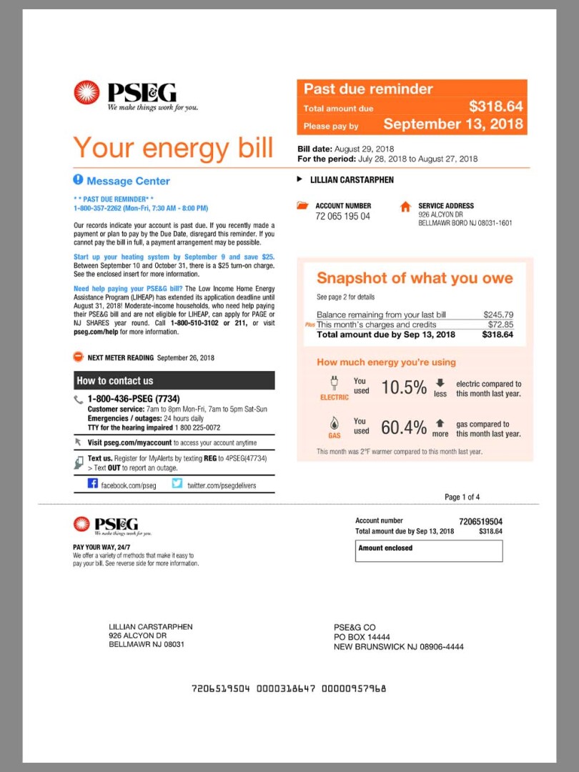 北美 | USA PSEG Utility Bills美国公共服务集团水电费账单pdf模板