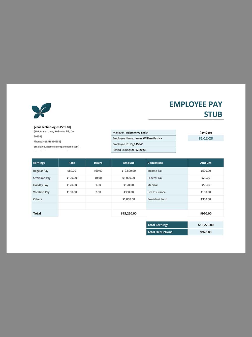 Zeal Technologies Paystub template软件公司收入证明/工资账单Word模板