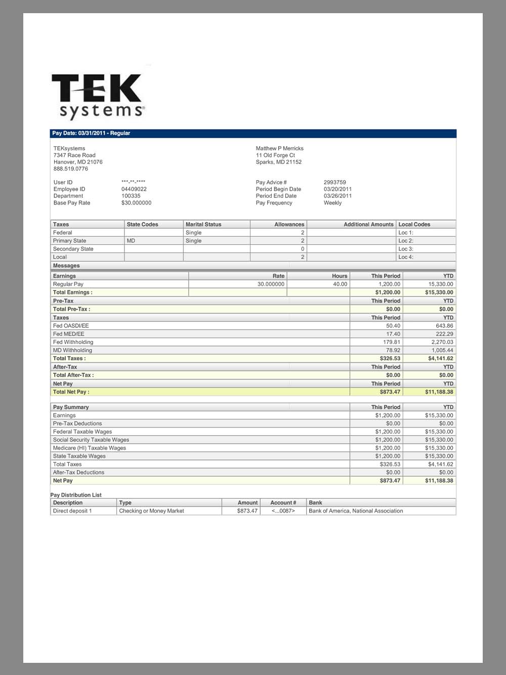 TekSystems Paystub template IT外包公司收入证明/工资账单PDF模板