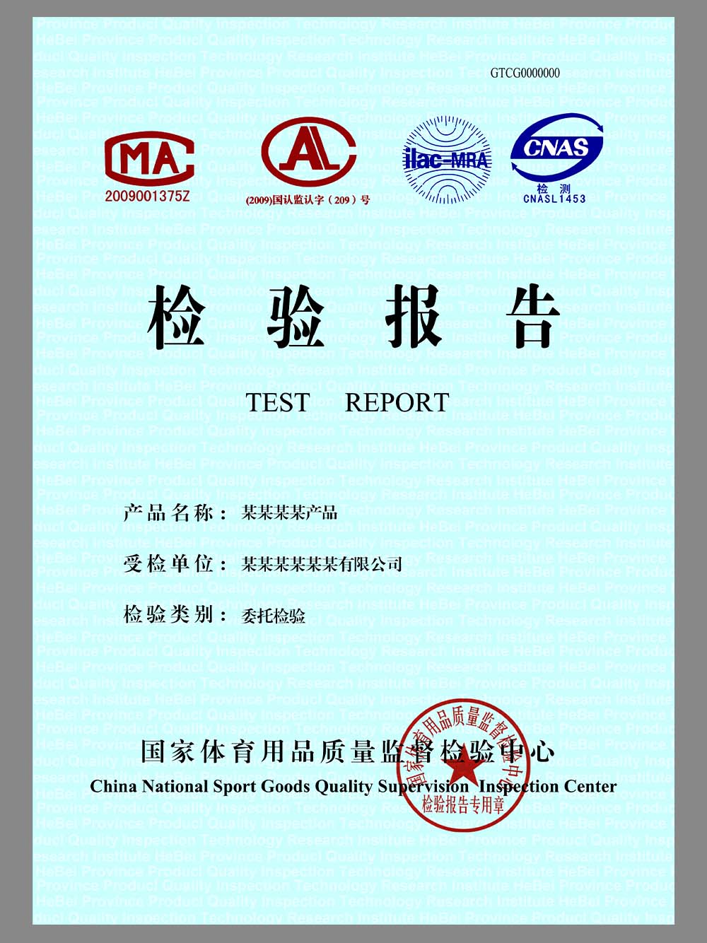 China Sporting Goods Test Report体育用品质量检验报告模板