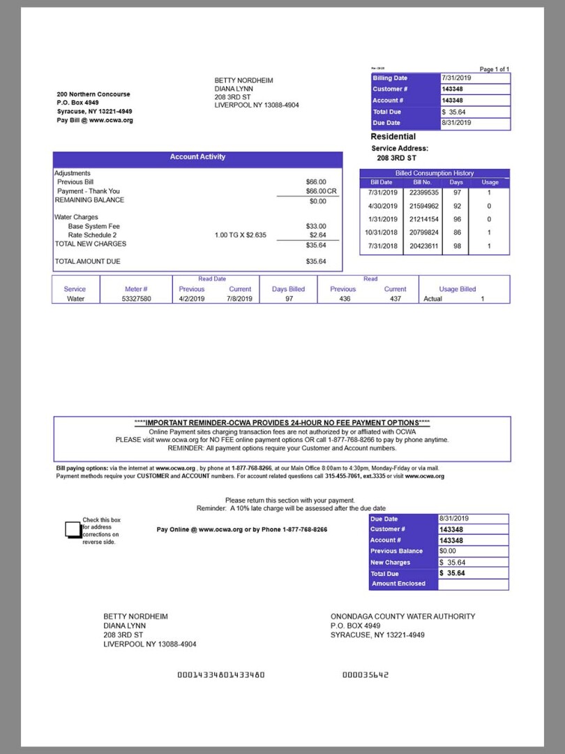 USA New York OCWA Utility Bills美国纽约奥农达加水电费账单word/pdf模板