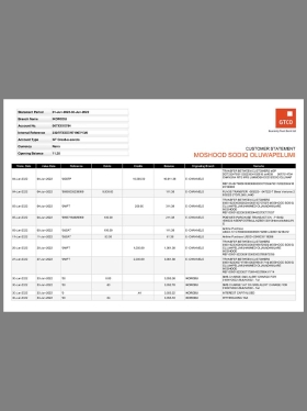 Nigeria GTCO Bank Business Statement尼日利亚公司银行账单pdf模板