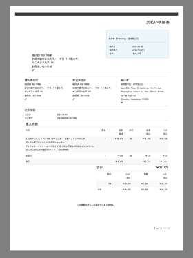 Japan Shopping Bills日本购物账单pdf模板(shenzhen)