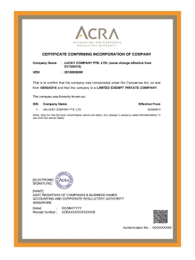 Singapore Company Certificate新加坡企业营业执照pdf模板