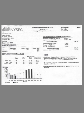 美国USA New York NYSEG Utility Bills水电费账单/KYC地址证明psd模板