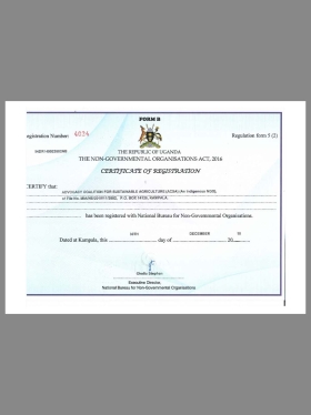 非洲|Uganda Certificate Of Registration乌干达企业/非盈利组织登记证pdf模板