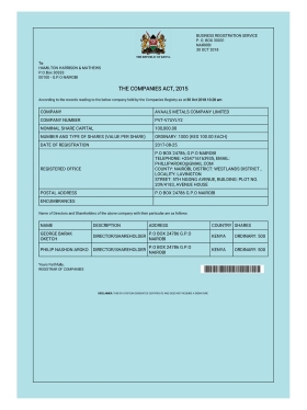 Kenya Business Registration Certificate肯尼亚营业执照pdf模板