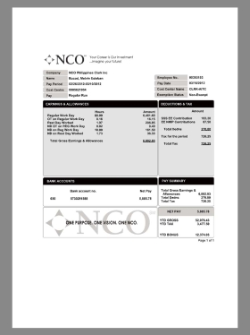 NCO Paystub template客服外包公司收入证明/工资账单PDF模板