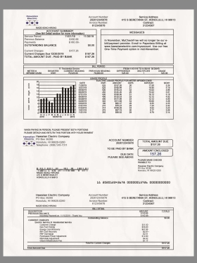 USA Hawaiian Electric Bills美国夏威夷水电费账单/地址证明PS/PSD模板