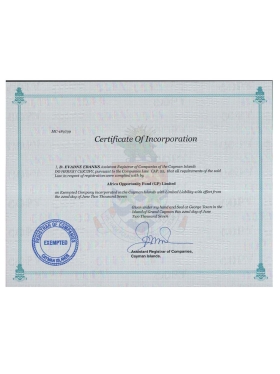 Cayman Islands Company Certificate开曼群岛公司营业执照pdf模板