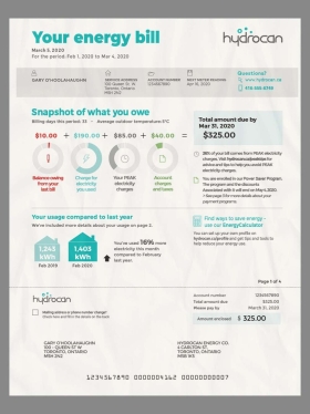 北美|Canada Ontario Utility Bills加拿大安大略省水电费账单psd模板