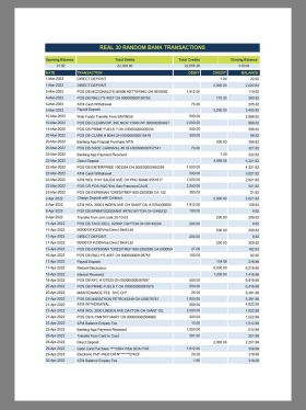 Random Bank Transactions银行交易流水pdf & excel模板