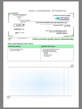 美国Virginia Credit Union Check Statement银行账单/KYC地址证明pdf模板