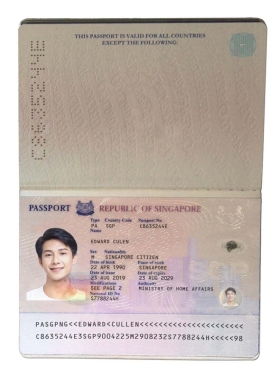 东南亚|Singapore Passport新加坡护照PSD/PS/Photoshop模板