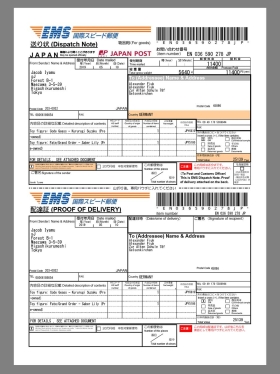 Japan EMS Invoice日本邮政快递账单pdf模板