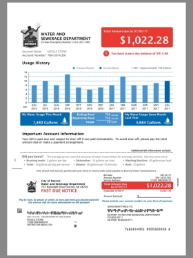 USA Michigan Detroit DWSD Utility Bills美国密歇根州底特律水电费账单pdf模板