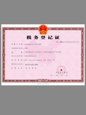 China Tax Registration Certificate税务登记证PS/PSD模板