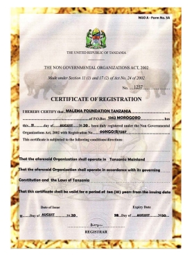 非洲|Tanzania Company Certificate Of Registration坦桑尼亚公司登记证pdf模板