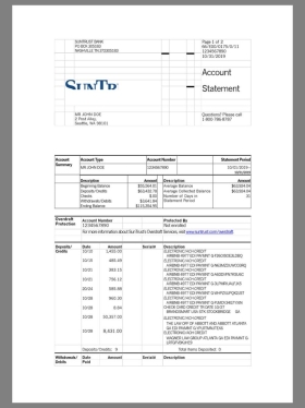 美国SunTrust Bank Statement银行账单/KYC地址证明word模板